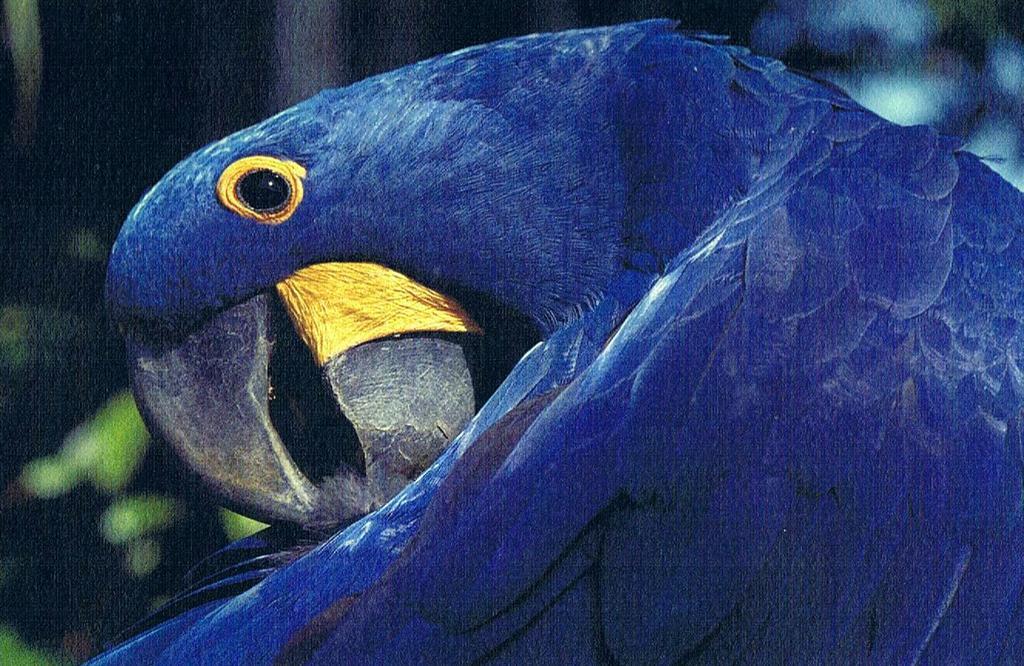 Cataguas Brasil Pousada Carrancas Eksteriør billede